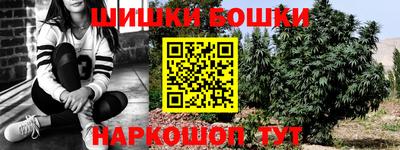 мдпв Вышний Волочёк