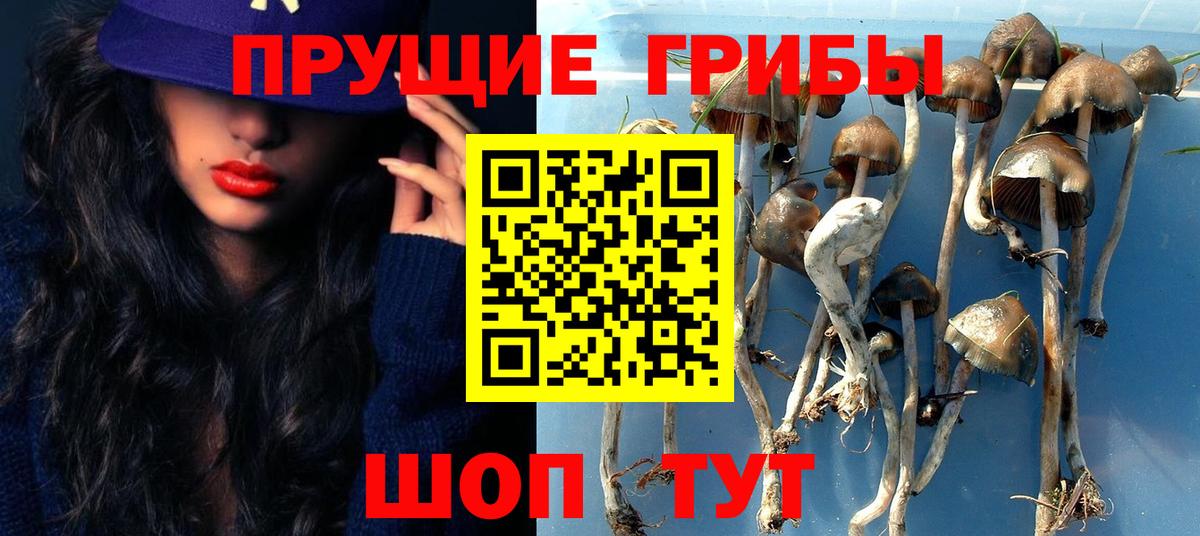 Галлюциногенные грибы Cubensis  Галлюциногенные грибы мухоморы  Аксай  Вход с VPN 